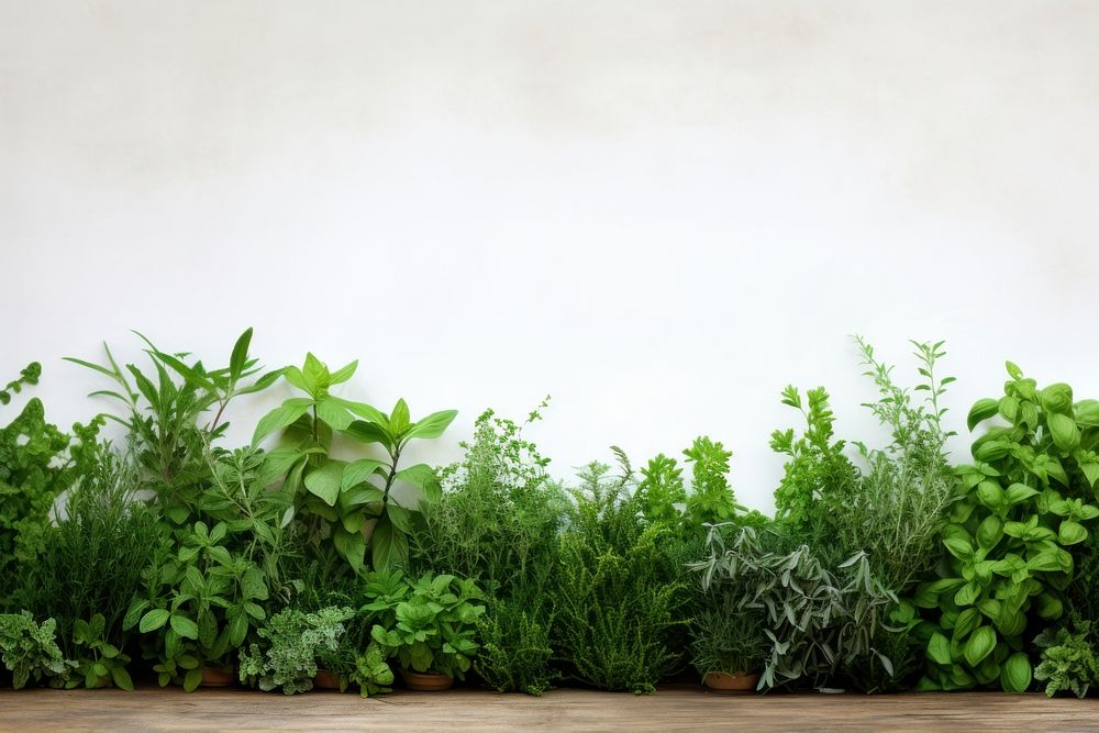 Herb garden herbs nature plant. AI generated Image by rawpixel.