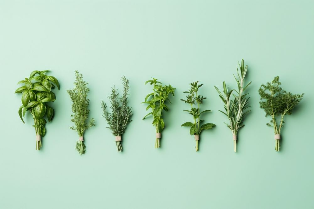 Herb garden herbs plant food. AI generated Image by rawpixel.