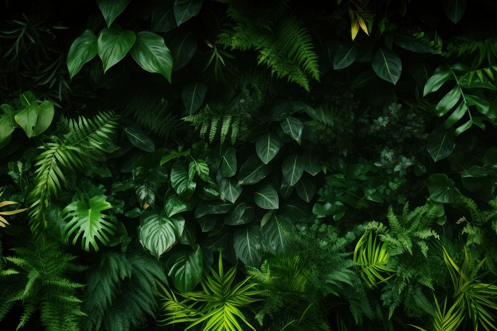 Lush greenery backgrounds vegetation outdoors. AI generated Image by rawpixel.