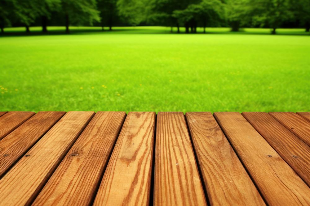 Trimmed lawn backgrounds hardwood outdoors. AI generated Image by rawpixel.