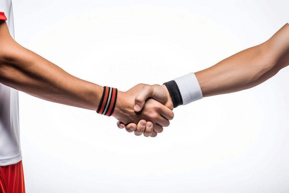 Shaking hands handshake white background togetherness. 