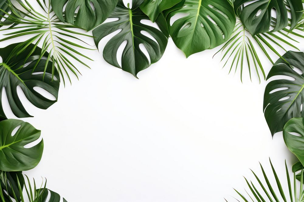 Monstera leaves border green plant leaf. AI generated Image by rawpixel.