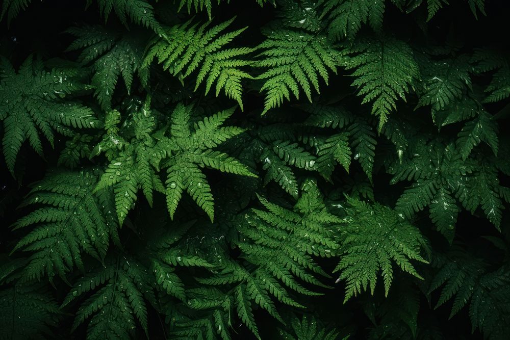 Lots green leaves dirt and | Free Photo - rawpixel