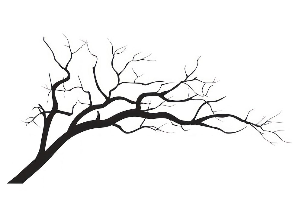 Branch silhouette drawing sketch. AI generated Image by rawpixel.
