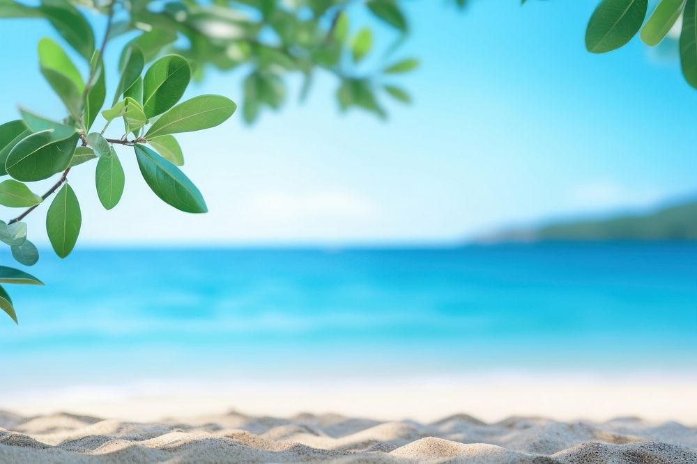 Beach with leaves outdoors nature summer. AI generated Image by rawpixel.