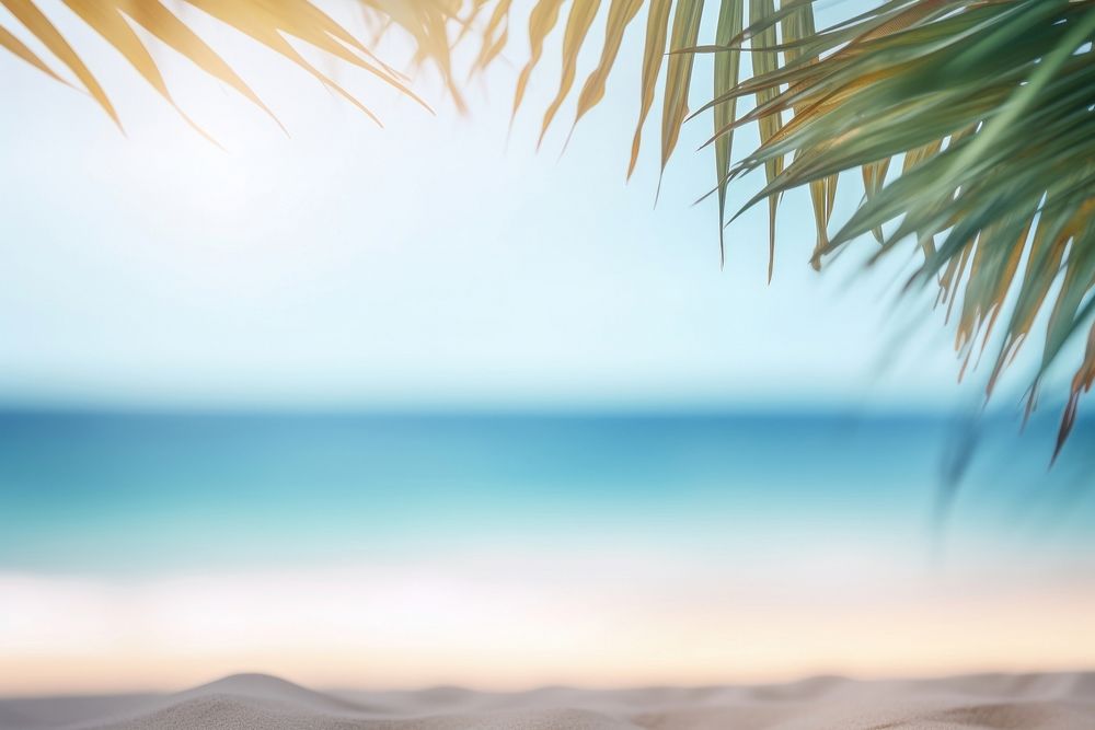 Beach with palm leaves summer backgrounds outdoors. AI generated Image by rawpixel.