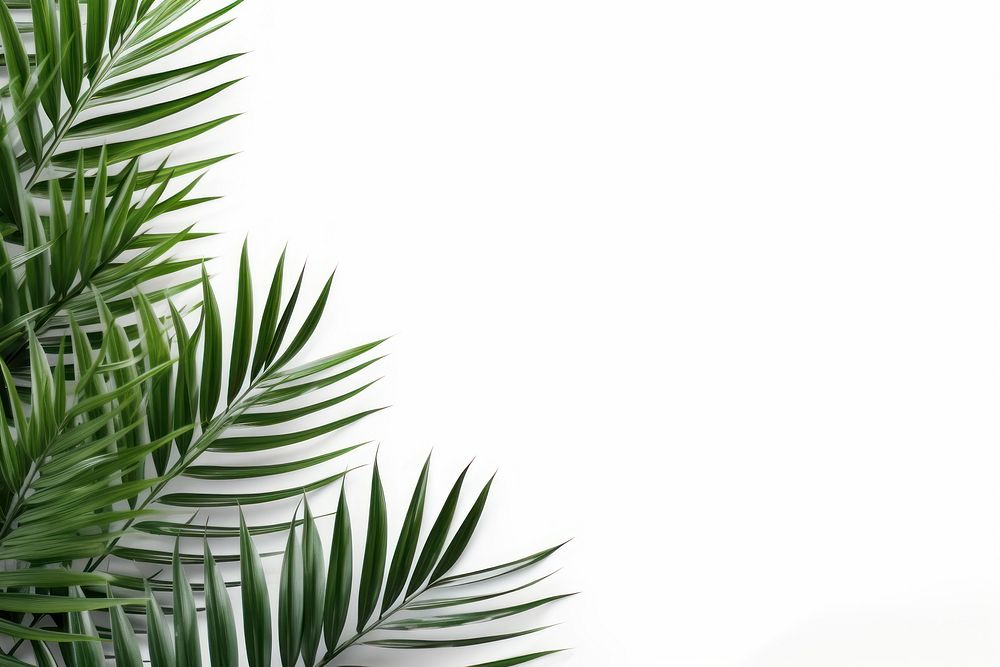 Palm plants backgrounds green leaf. AI generated Image by rawpixel.