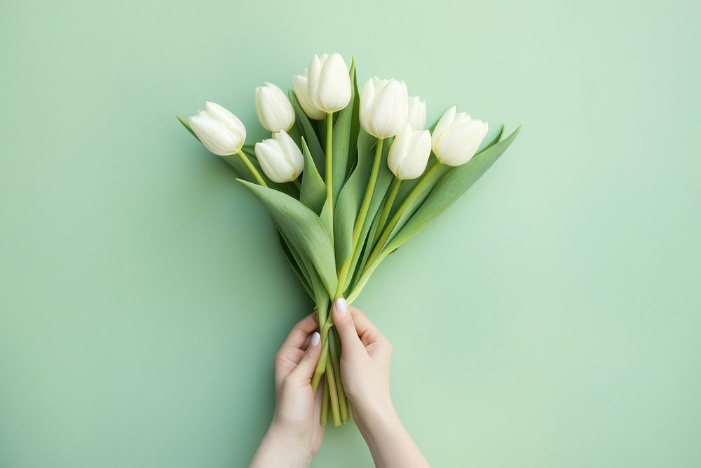 Hands holding paper bunch of white tulip flower plant green. AI generated Image by rawpixel.