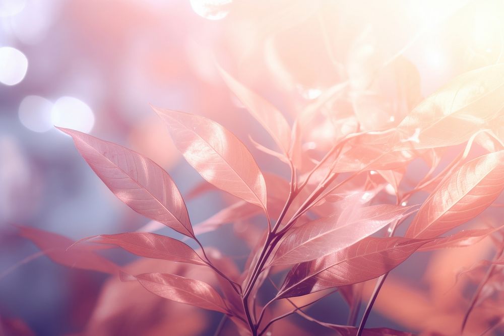 Aesthetic botanical leave backgrounds sunlight outdoors. AI generated Image by rawpixel.