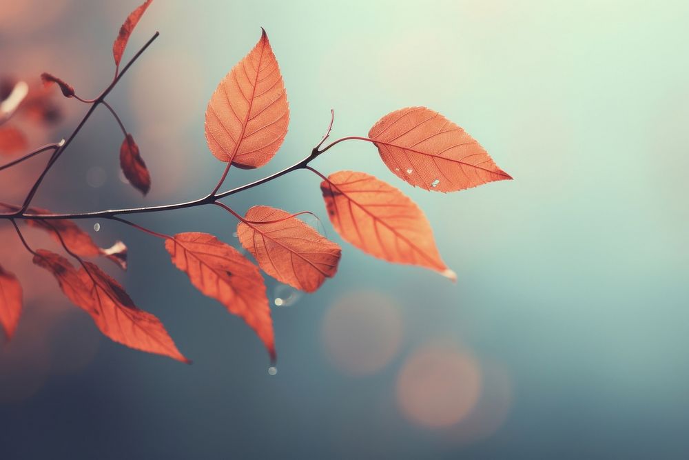 Blurred leaf background sunlight outdoors nature. AI generated Image by rawpixel.