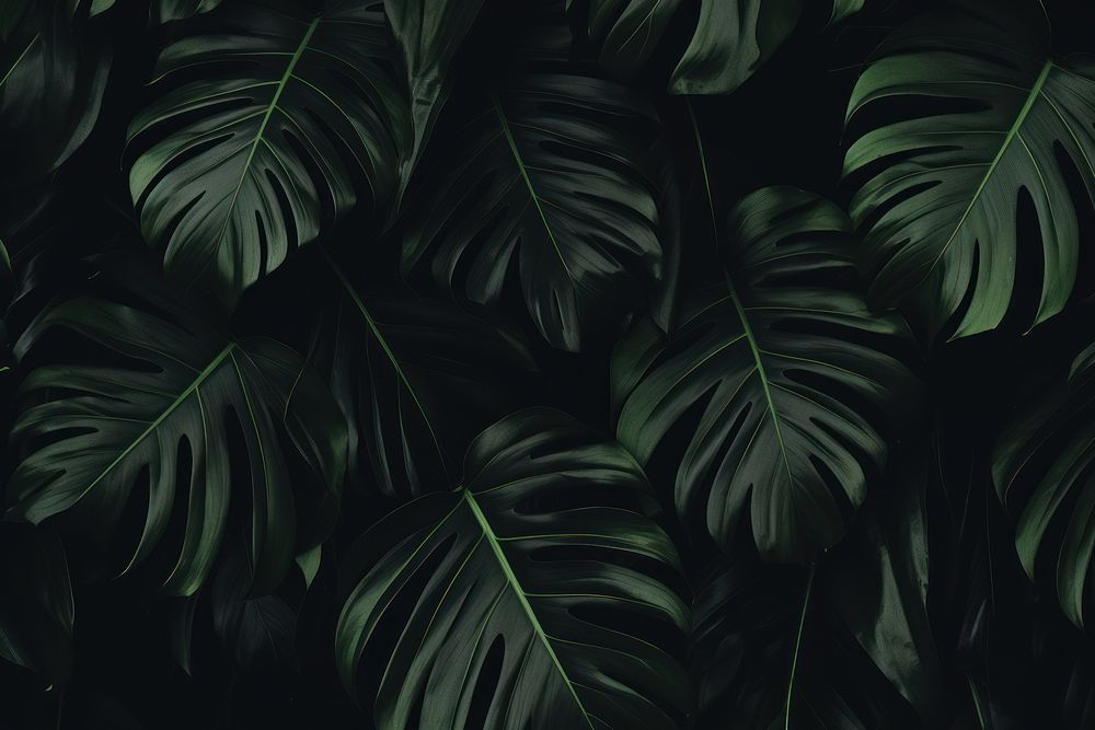 Amazon Rainforest backgrounds black darkness. AI generated Image by rawpixel.