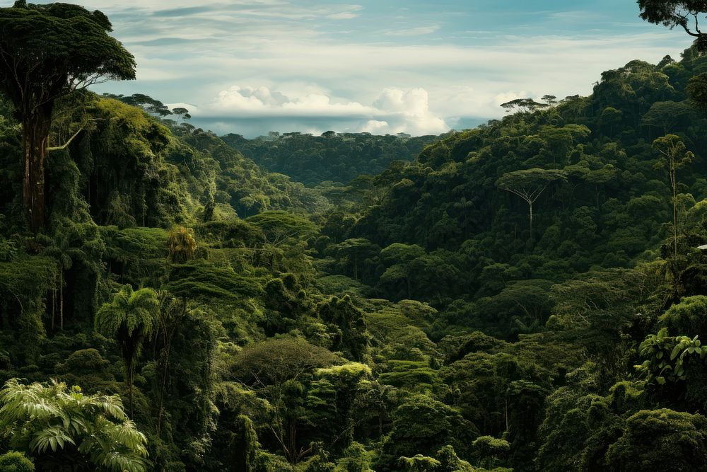 Amazon Rainforest vegetation rainforest landscape. AI generated Image by rawpixel.