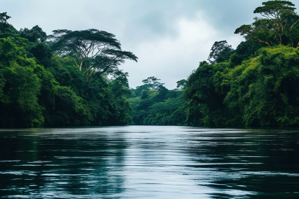 Amazon Rainforest rainforest landscape outdoors. AI generated Image by rawpixel.