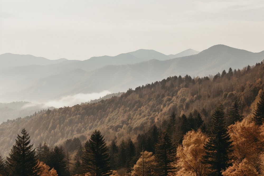 Great Smoky Mountains mountain wilderness outdoors. AI generated Image by rawpixel.