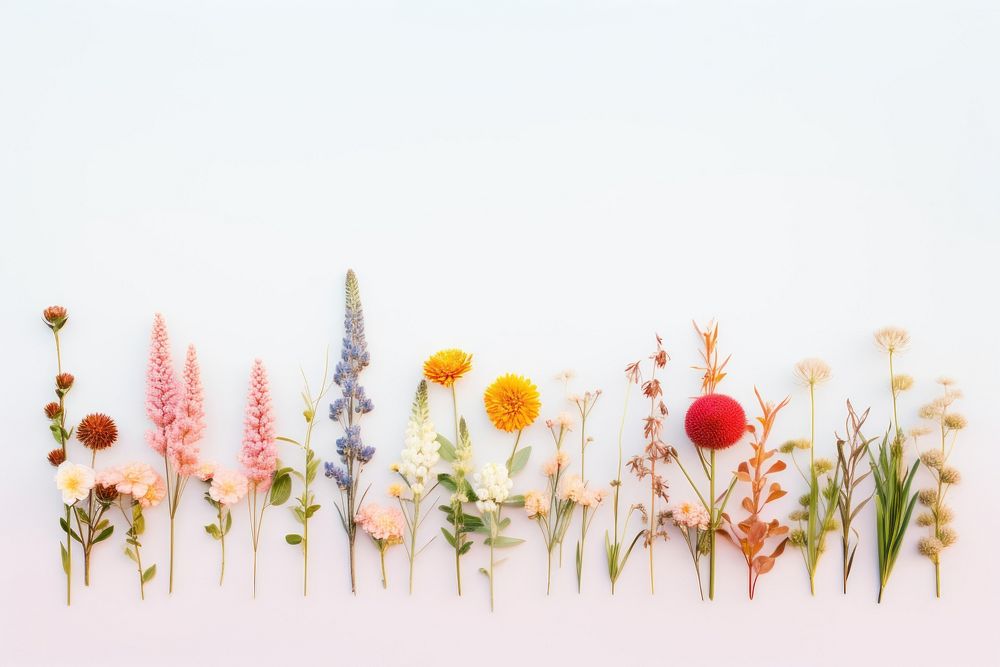 Flowering plants flower outdoors nature. AI generated Image by rawpixel.