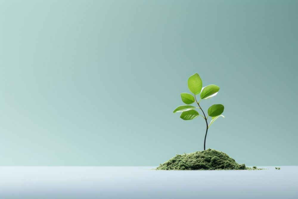 Sustainability plant green leaf. AI generated Image by rawpixel.