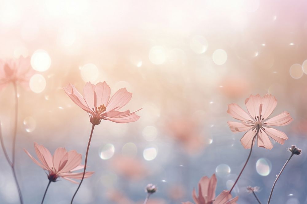 Sparkling background flower backgrounds outdoors. AI generated Image by rawpixel.