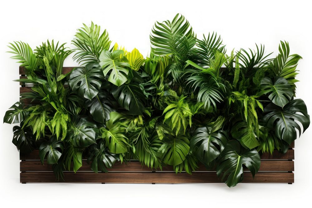 Tropical leaves fence outdoors nature plant. AI generated Image by rawpixel.
