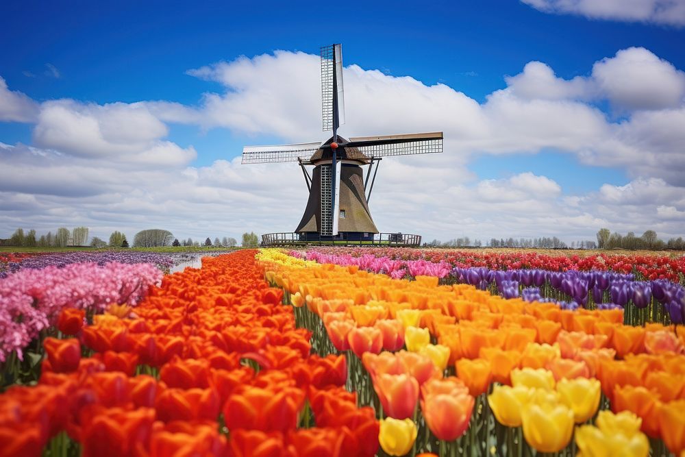 Windmill outdoors flower field. AI generated Image by rawpixel.
