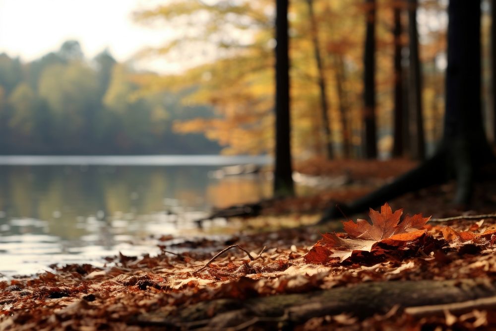 Autumn leaves landscape outdoors nature. AI generated Image by rawpixel.