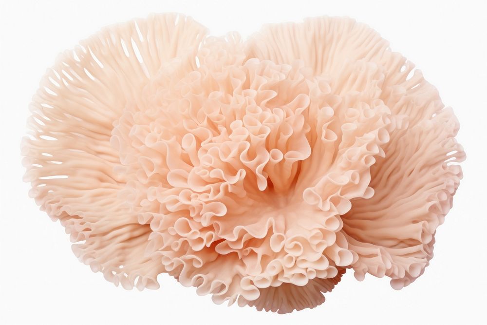 Underwater mushroom fungus nature. AI generated Image by rawpixel.