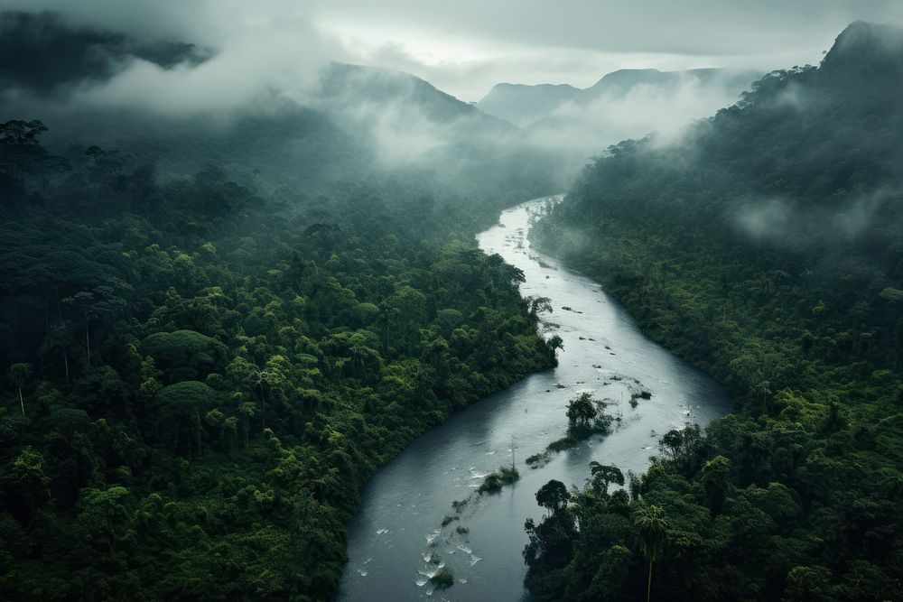 Rainforest river outdoors nature. AI generated Image by rawpixel.