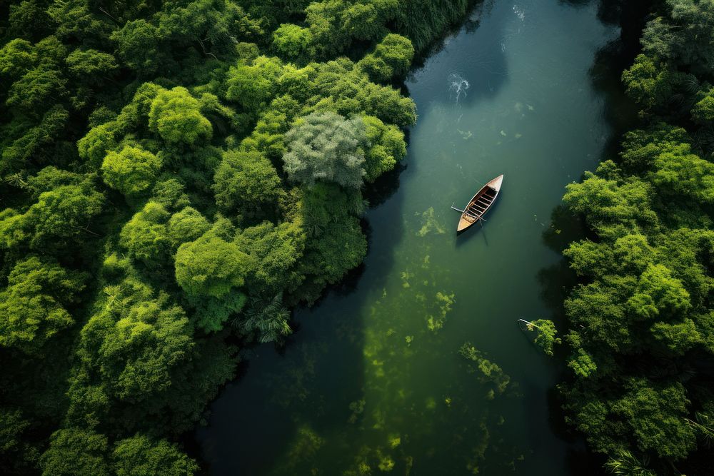 Rainforest river outdoors nature. AI generated Image by rawpixel.
