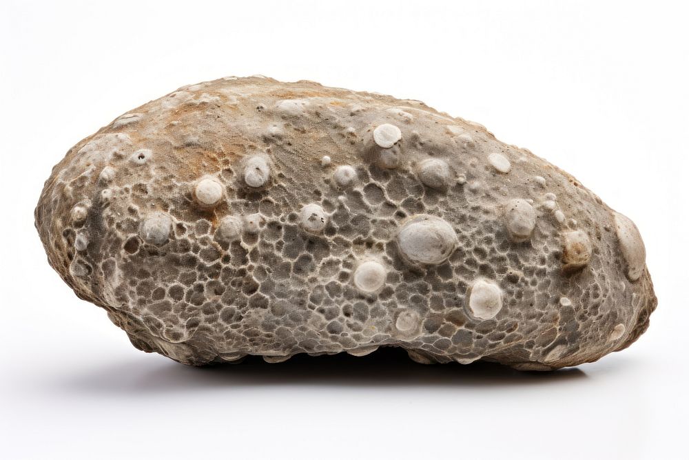 Underwater jewelry fossil rock. AI generated Image by rawpixel.