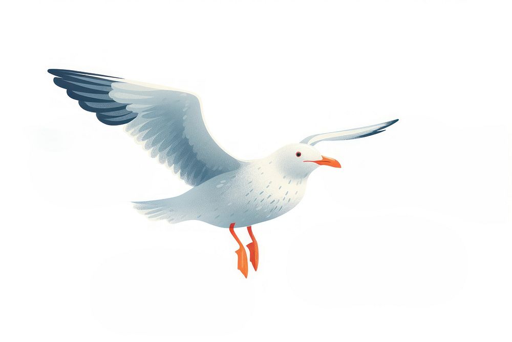 Seagull flying animal white bird. AI generated Image by rawpixel.