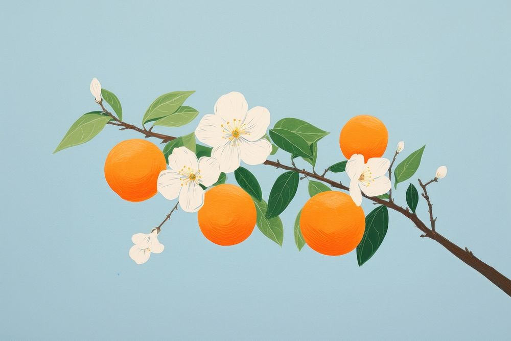 Spring grapefruit outdoors plant. AI generated Image by rawpixel.