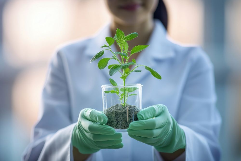 Female scientist plant adult green. AI generated Image by rawpixel.