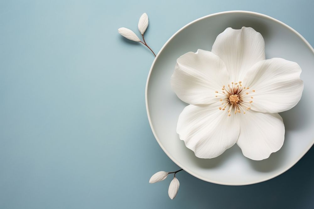 Flower made from ceramic porcelain petal plant. AI generated Image by rawpixel.