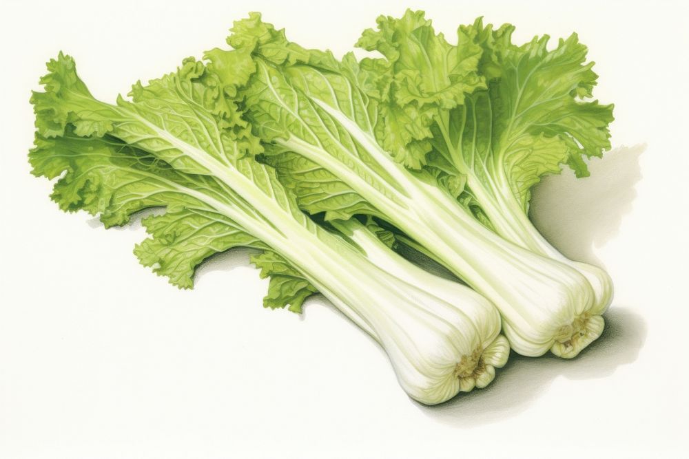 Celery vegetable plant food. AI generated Image by rawpixel.