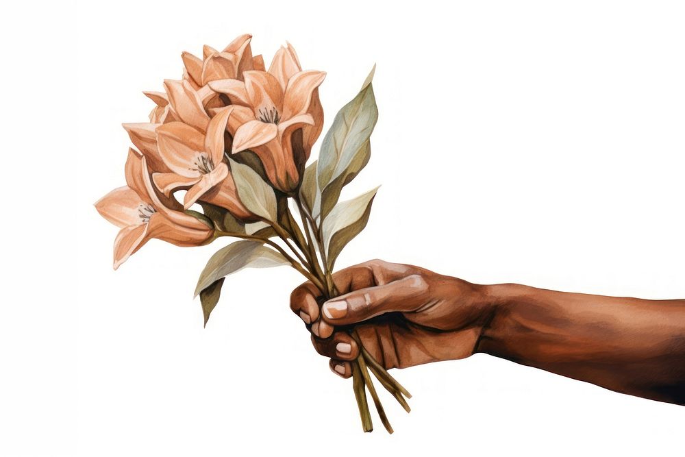 Hand holding a bouquet of flowers plant white background creativity. AI generated Image by rawpixel.