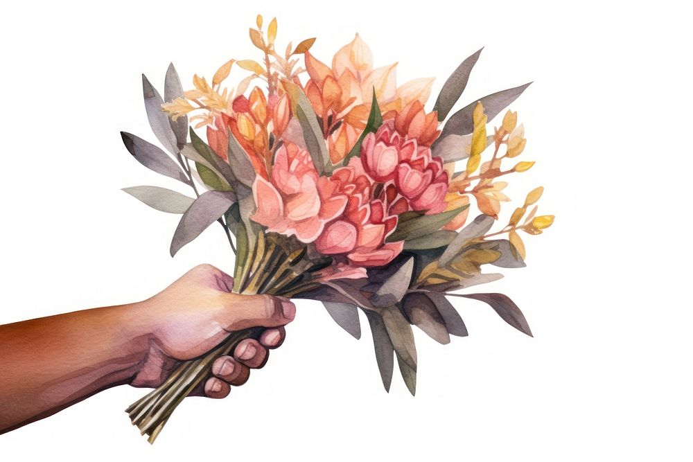Hand holding a bouquet of flowers plant white background inflorescence. AI generated Image by rawpixel.