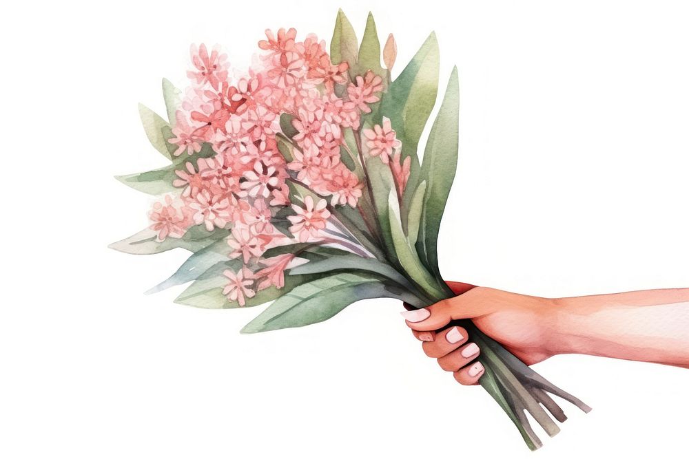 Hand holding a bouquet of flowers plant white background freshness. AI generated Image by rawpixel.