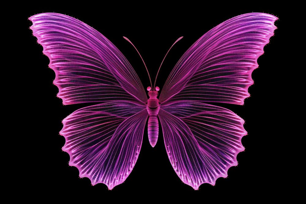 Butterfly purple animal insect. AI generated Image by rawpixel.