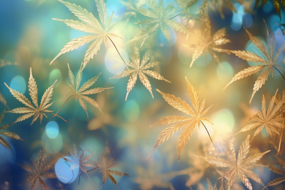 Cannabis pattern bokeh effect background backgrounds outdoors nature. AI generated Image by rawpixel.