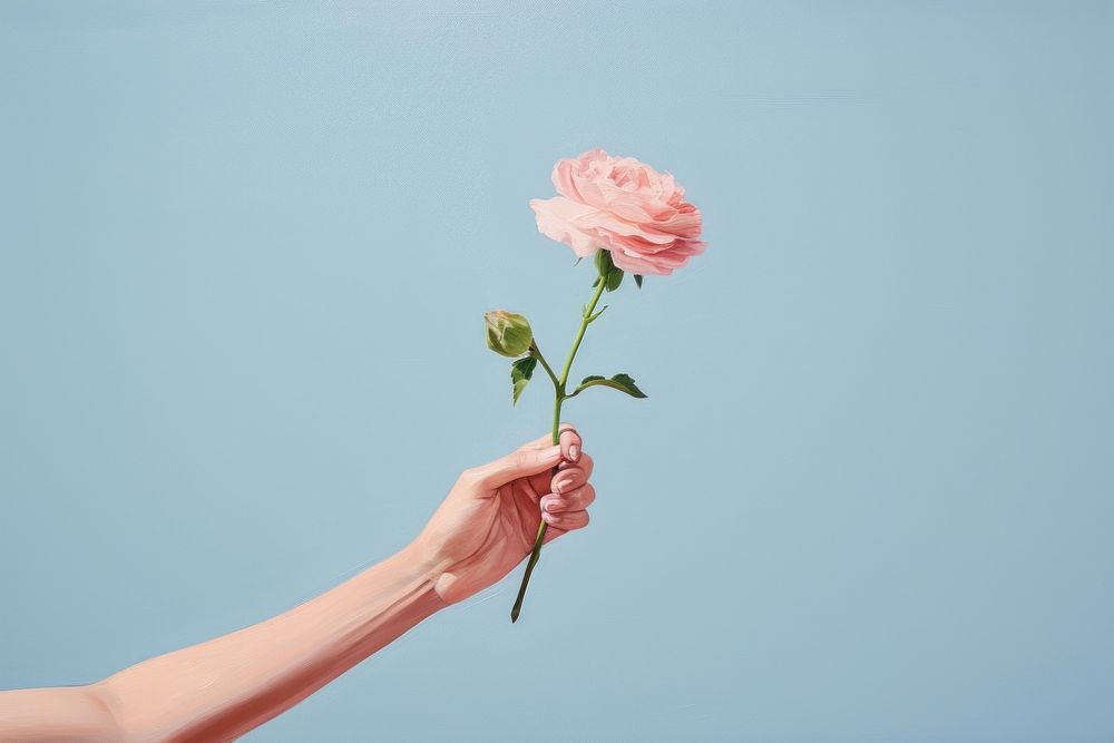 A hand holding flower petal plant rose. AI generated Image by rawpixel.