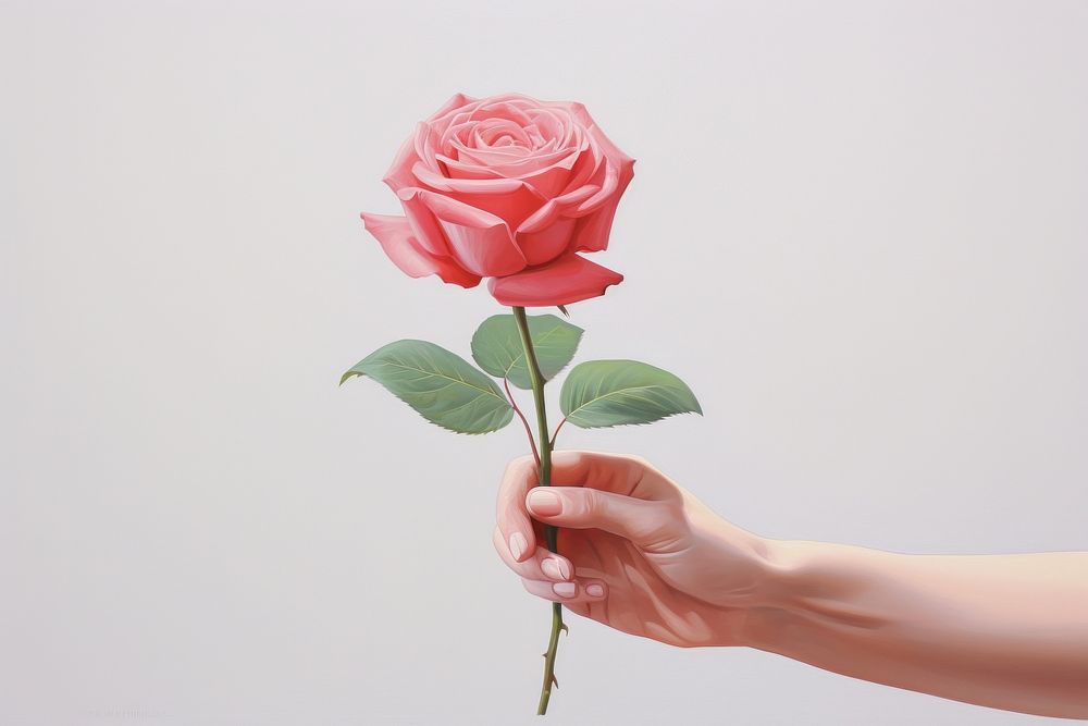 A hand holding flower rose plant adult. AI generated Image by rawpixel.