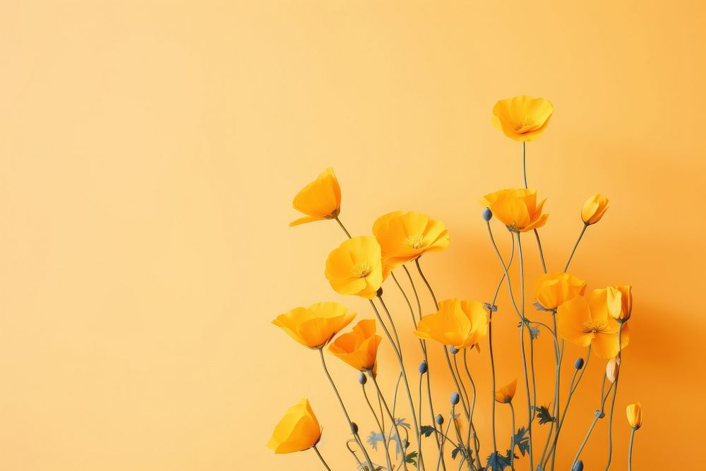 Yellow flowers of eschscholzia californica nature yellow petal. AI generated Image by rawpixel.