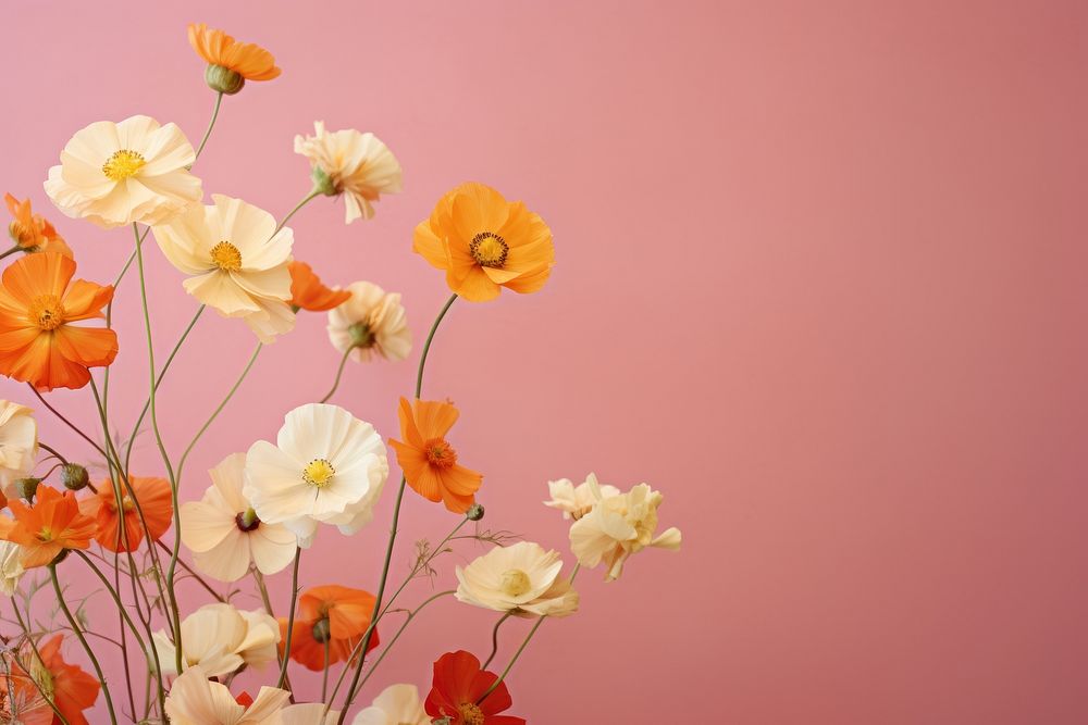 Italian flowers blossom nature petal. AI generated Image by rawpixel.