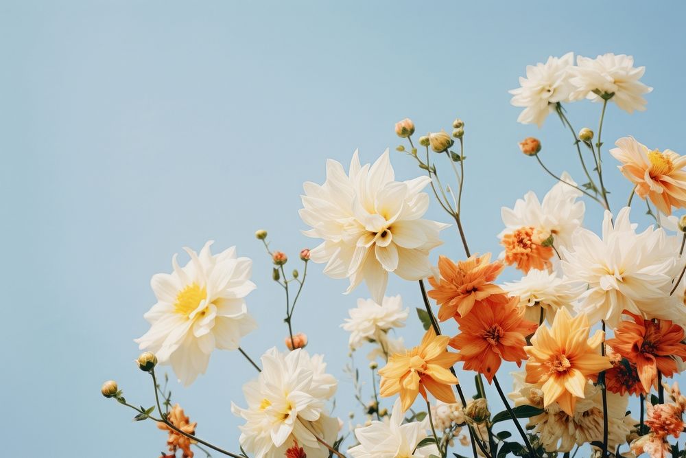 Italian flowers nature outdoors blossom. AI generated Image by rawpixel.