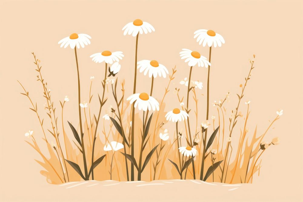 Chamomile flower plant daisy. AI generated Image by rawpixel.
