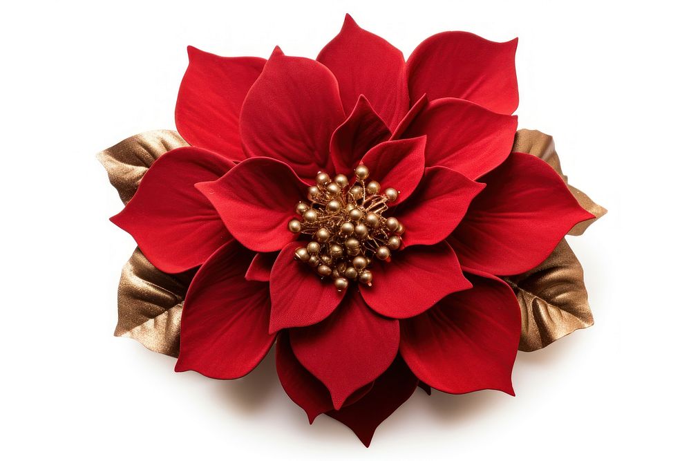 Flower christmas dahlia brooch. AI generated Image by rawpixel.