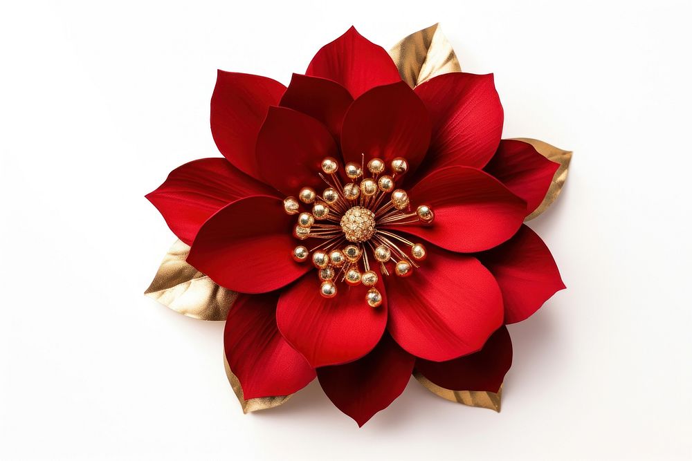 Flower christmas jewelry brooch. AI generated Image by rawpixel.