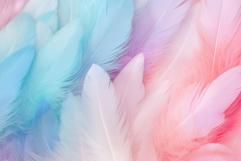 Feather backgrounds bird lightweight. AI generated Image by rawpixel.