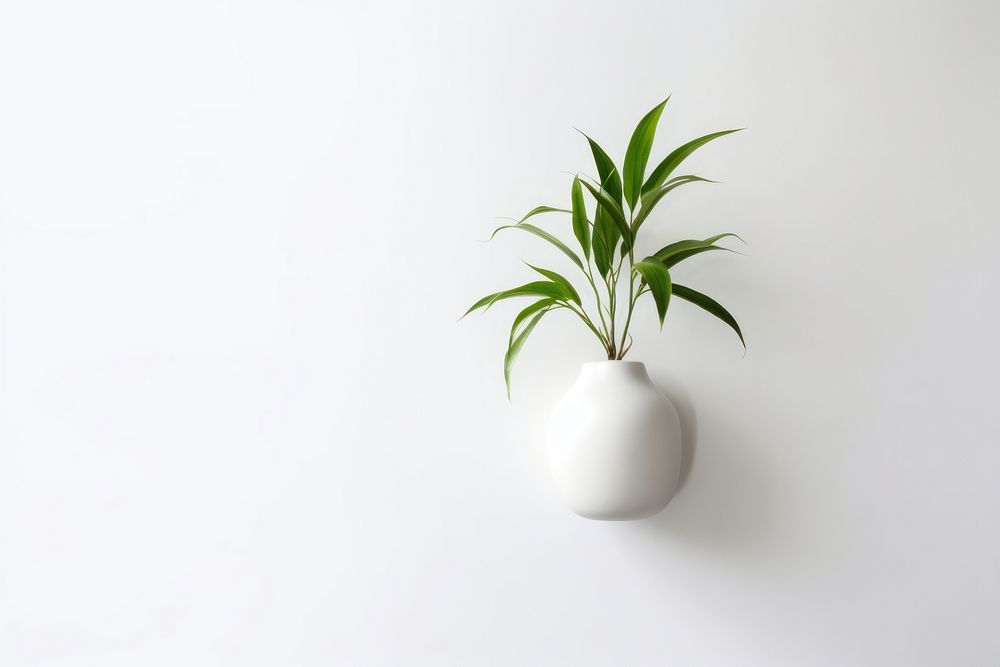 Ceramic pot plant vase leaf wall. AI generated Image by rawpixel.