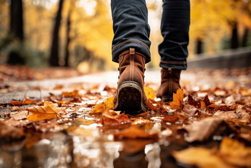 Walking in autumn leaves plant leaf. AI generated Image by rawpixel.
