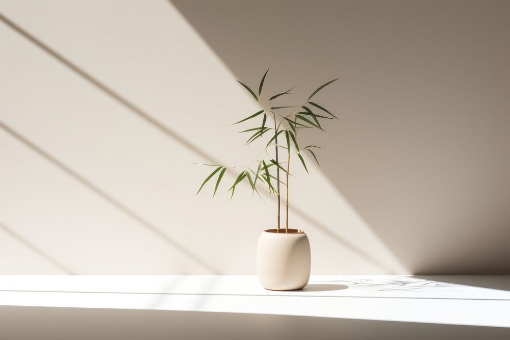 Nature wallpaper plant tree houseplant. AI generated Image by rawpixel.